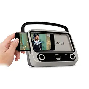 Zebronics Astra 10 Portable Wireless BT v5.0 Speaker, 10W RMS Power, 15* Hours Backup, 2.25" Drive Size, up to 6.4" Mobile Holder Support, Carry Handle, USB, mSD, AUX Input and FM Radio with Antenna